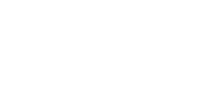The Police Foundation